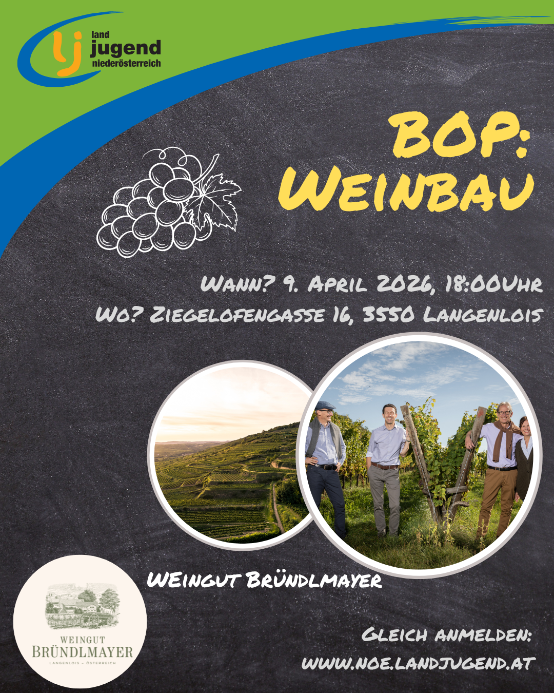 Best of Practice - "Wein"