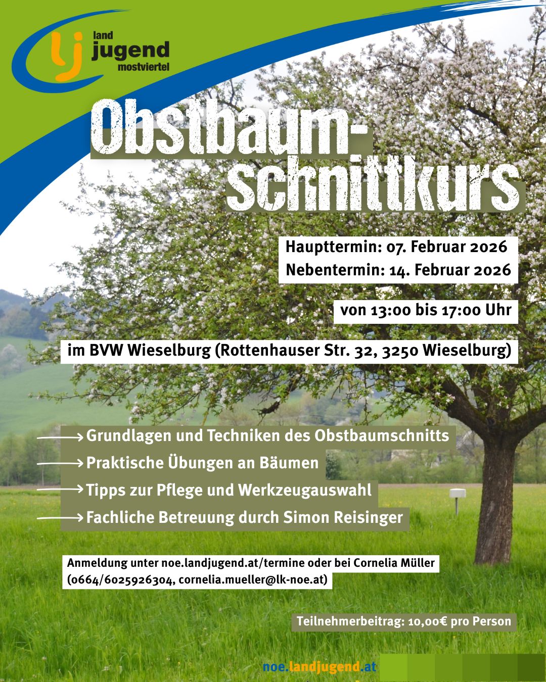 Obstbaumschnittkurs Haupttermin