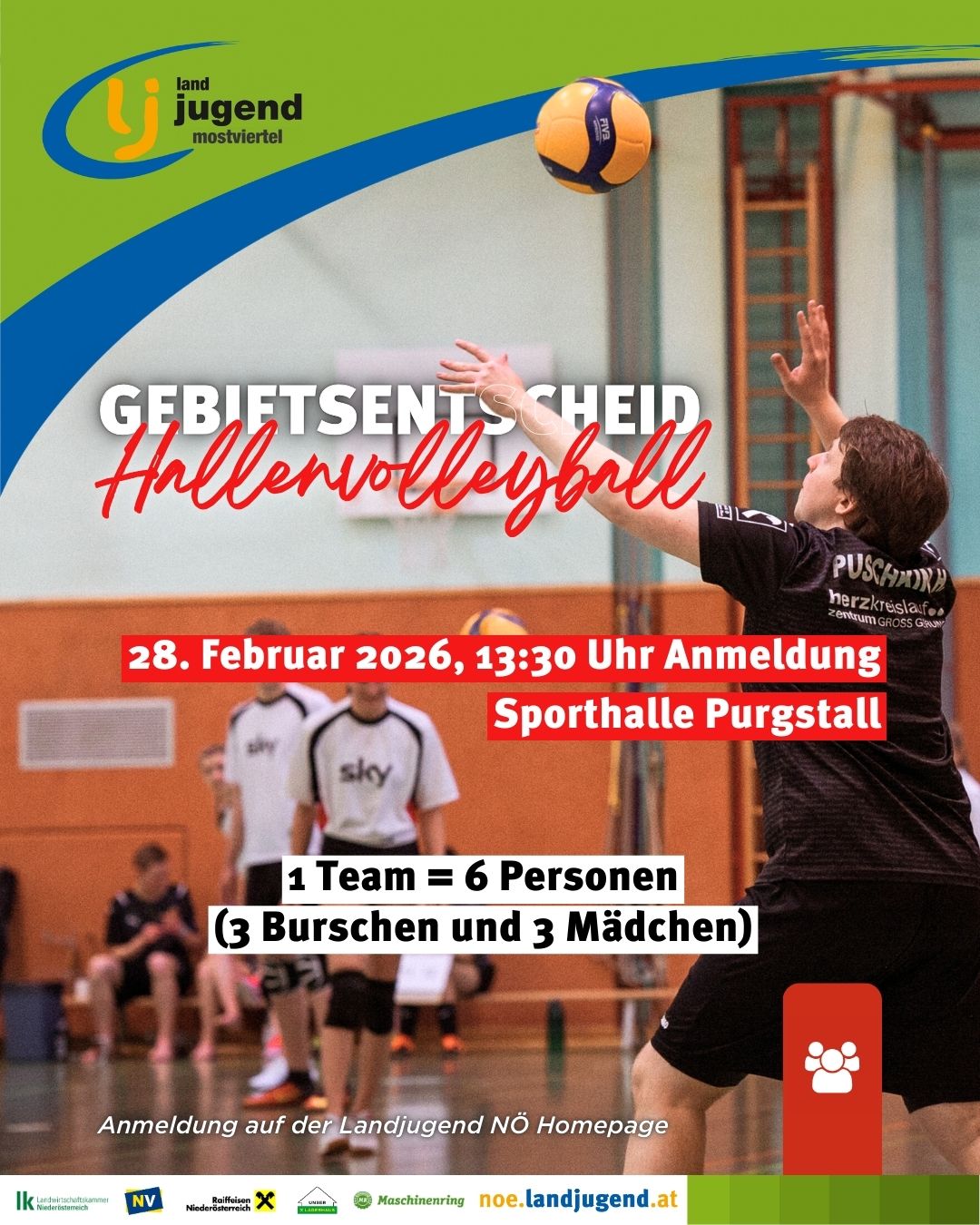 Gebietsentscheid Hallenvolleyball